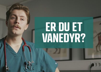 Bilde av mann - Klikk for stort bilde